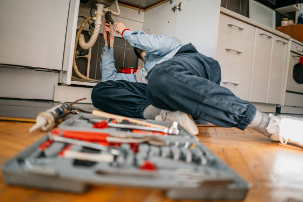 Best Local Plumber Services  in Skyline Ganipa, NM